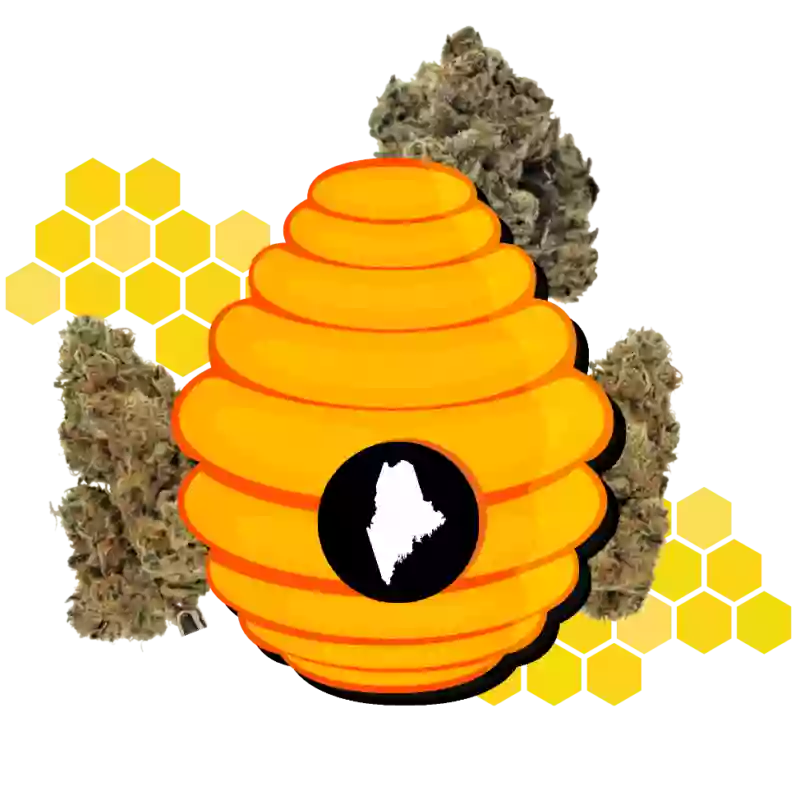 The HoneyComb Farm