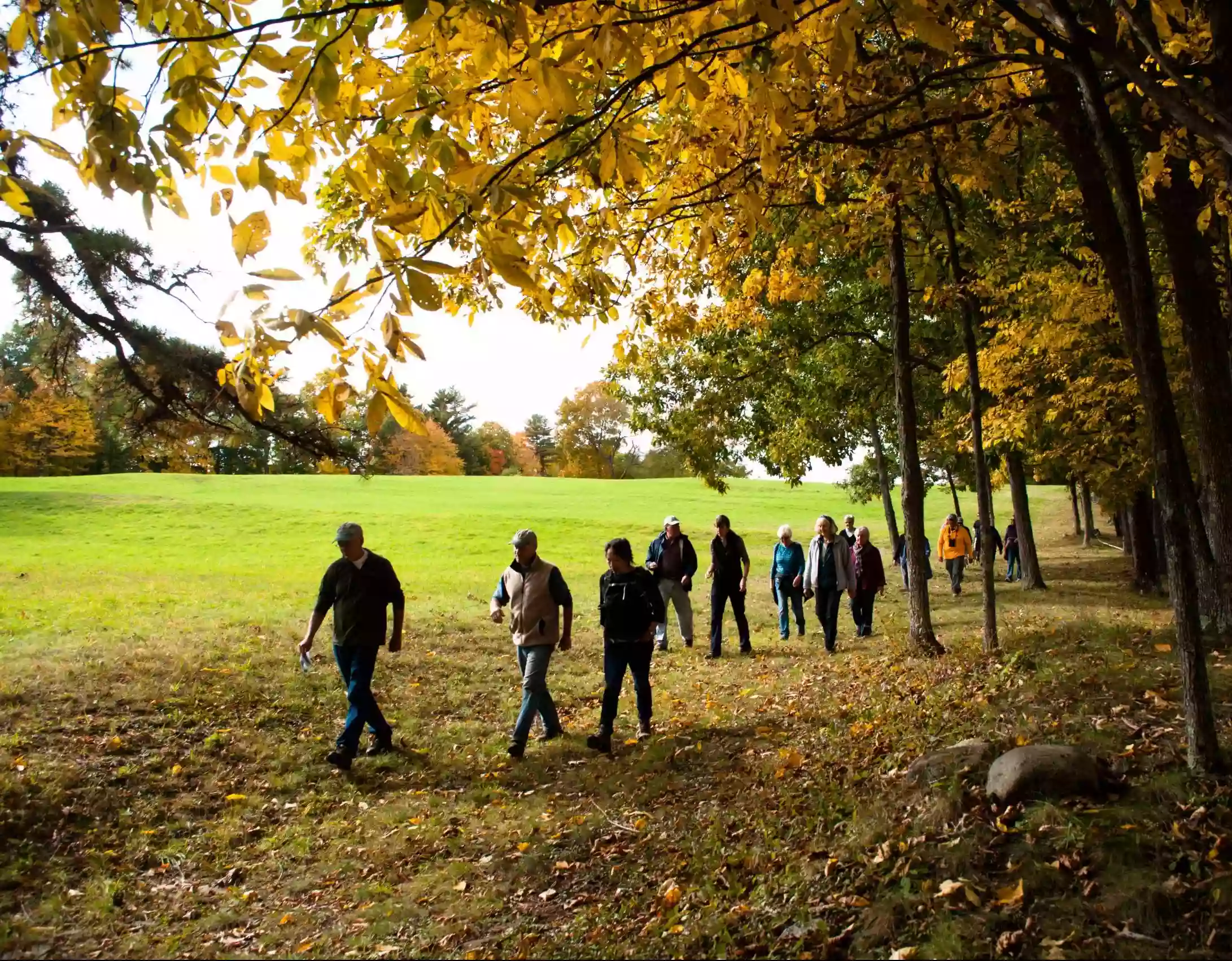 Kenyon Hill Preserve (Great Works Land Trust)