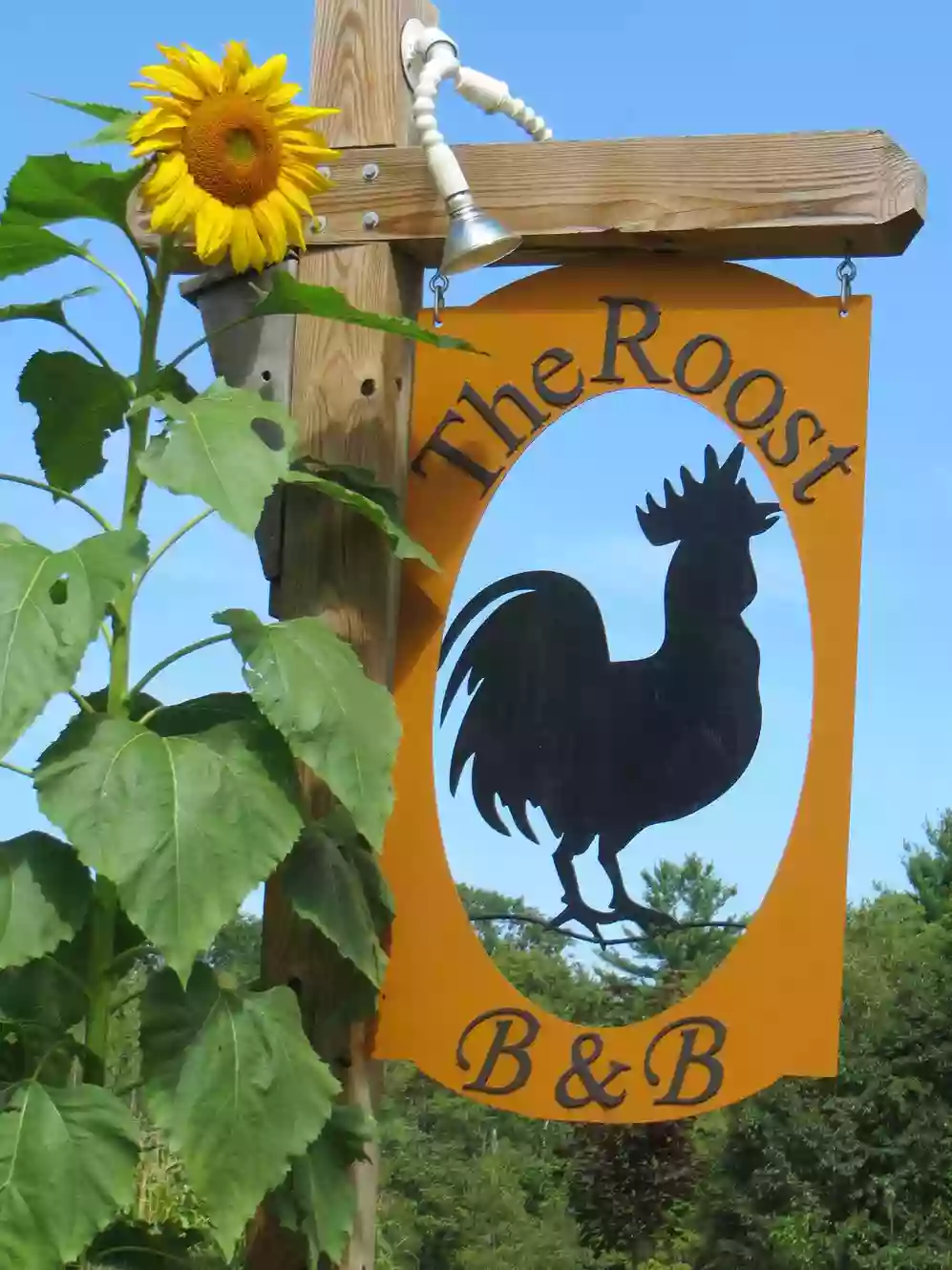 The Roost B&B