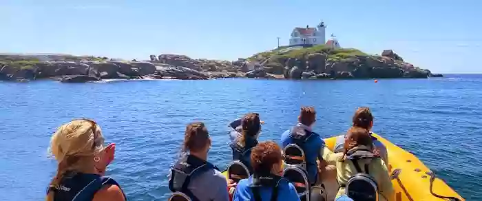 New England EcoAdventures - Kennebunkport Boat Tours