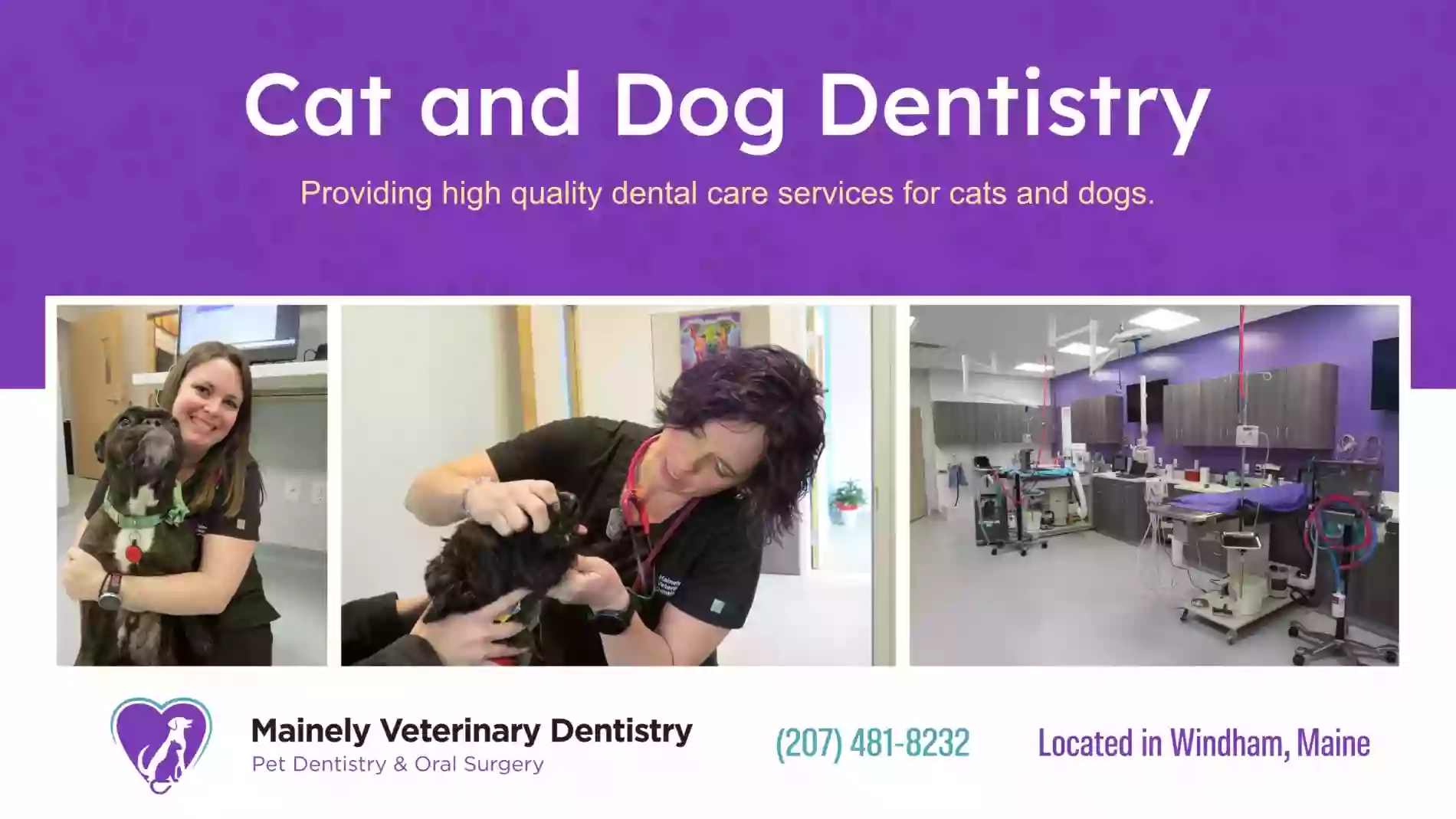 Mainely Veterinary Dentistry