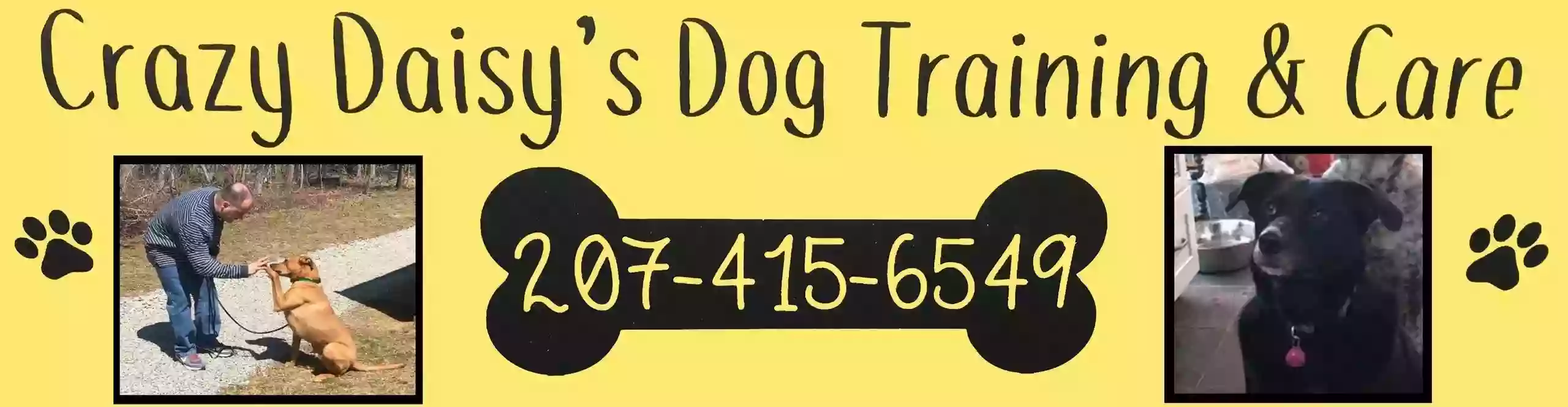 Crazy Daisy's Dog Training and Care