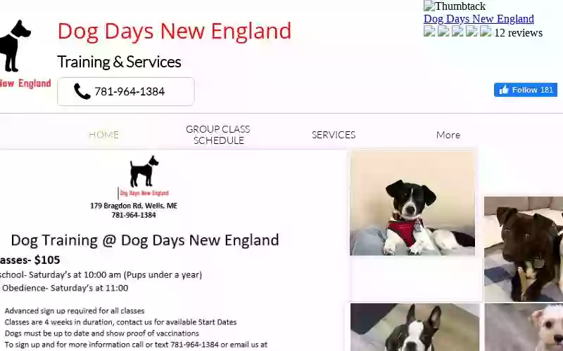 Dog Days New England