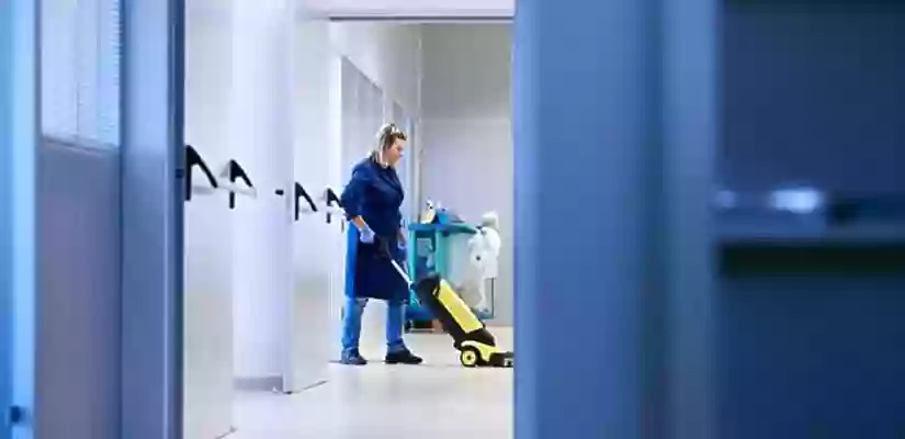 Domestiks Cleaning Services