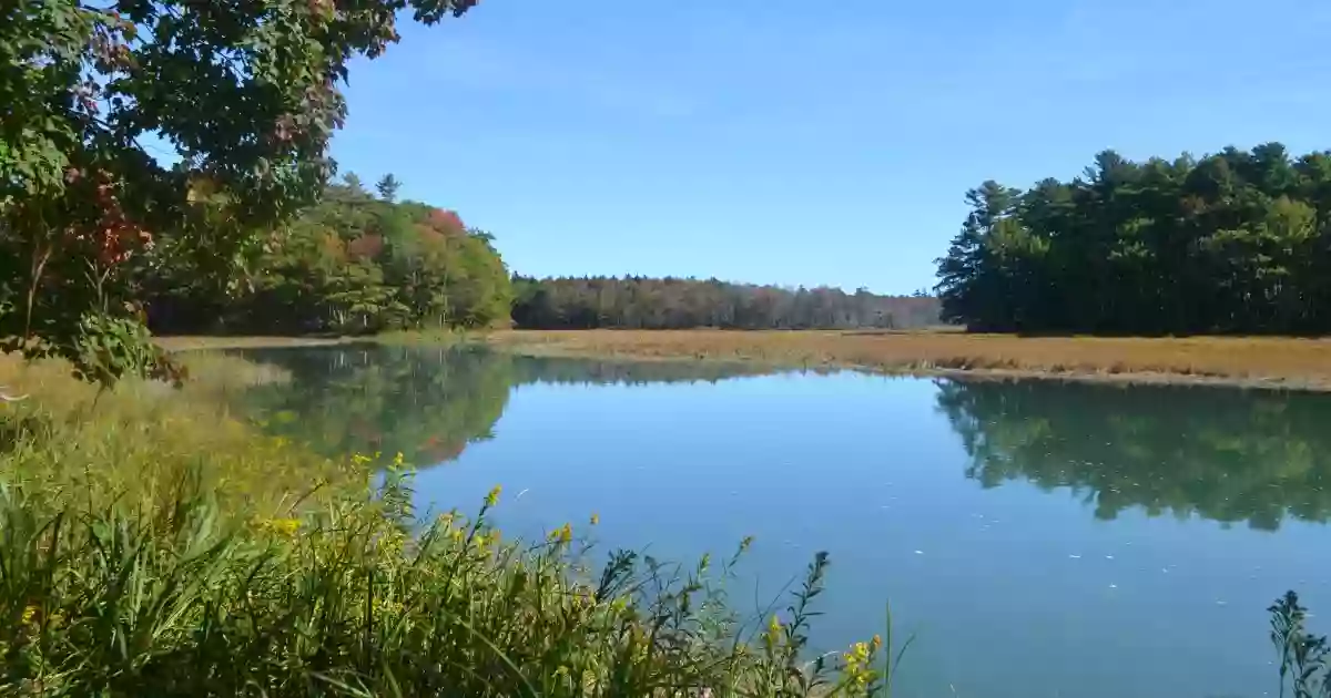 Timber Point Trail