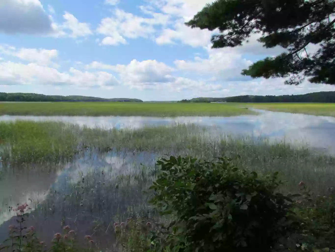 Green Point Wildlife Management Area