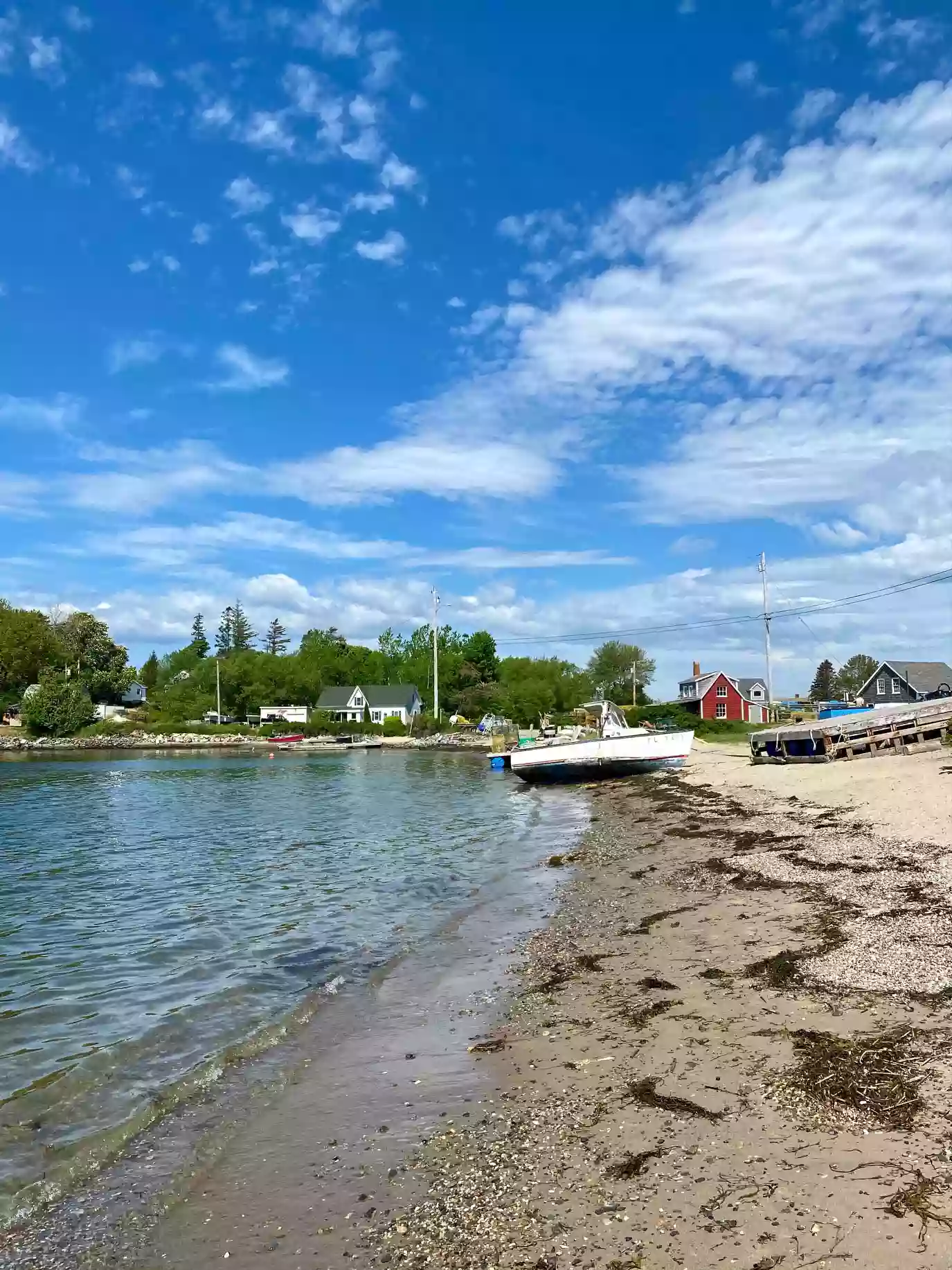 Johnson Field Preserve at Mackerel Cove