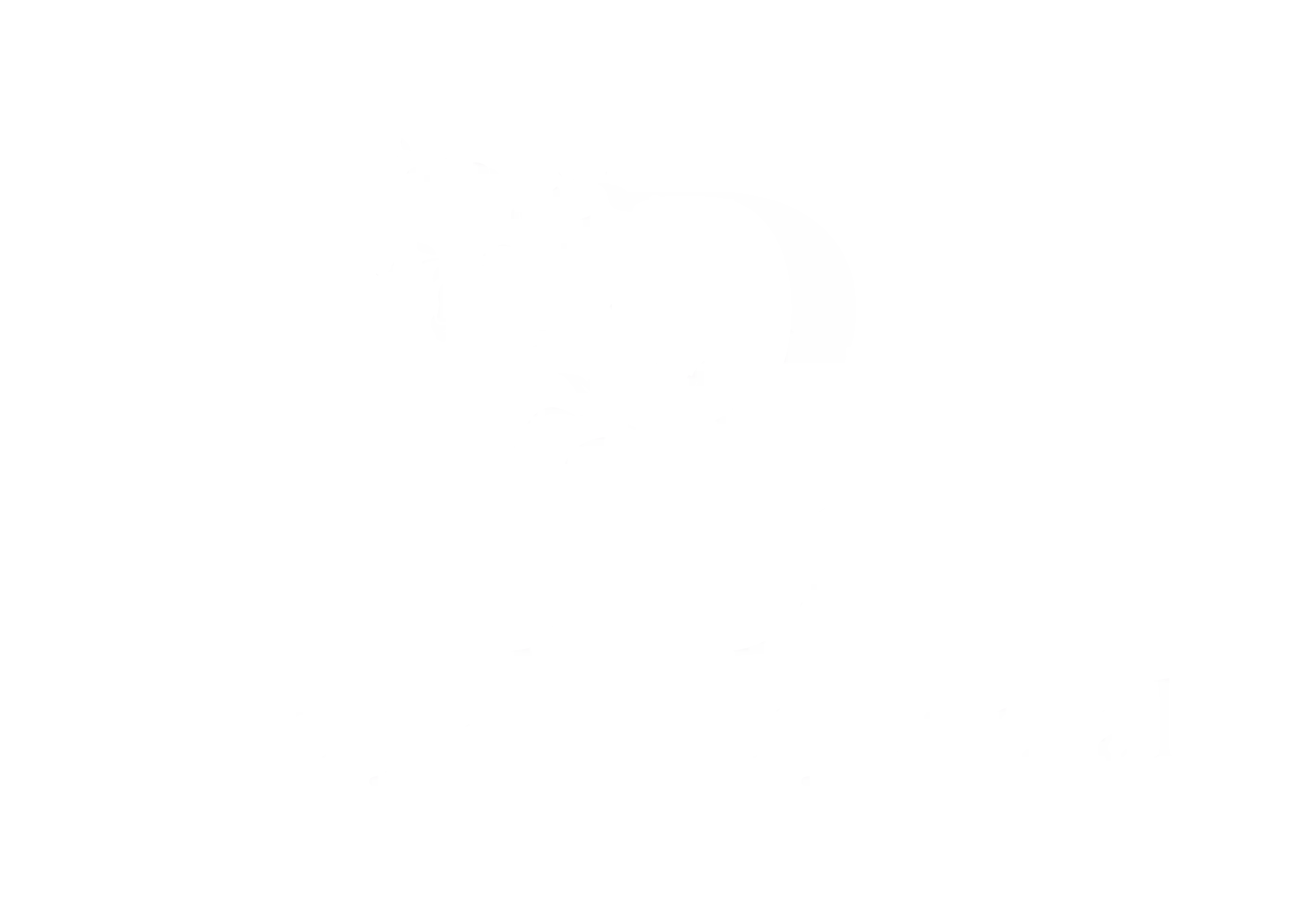 Berry & Berry Floral