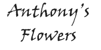 Anthony's Flowers