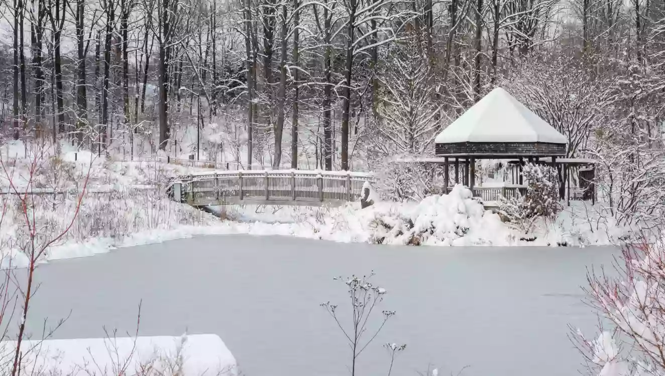 Brookside Gardens