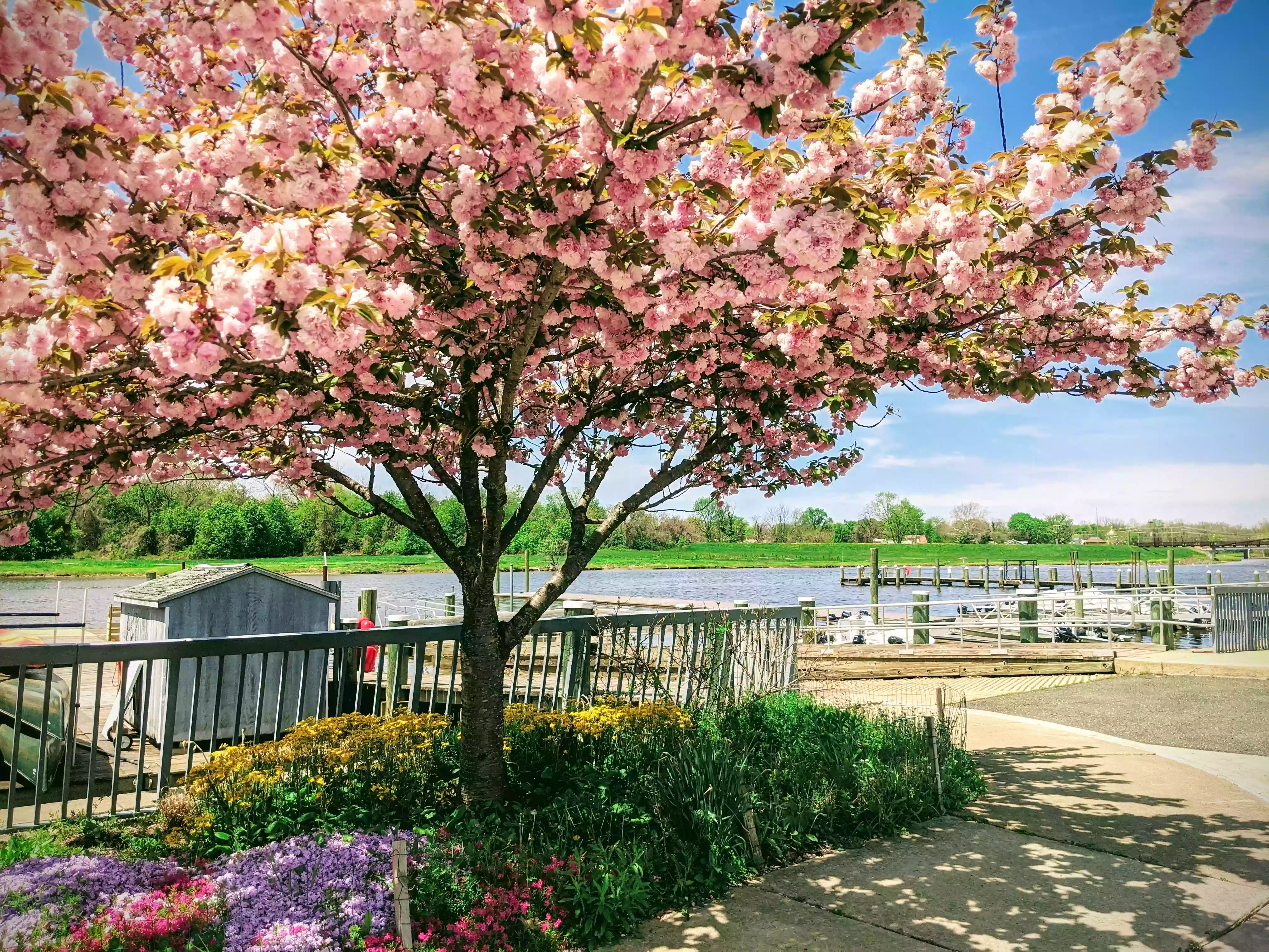 Bladensburg Waterfront Park