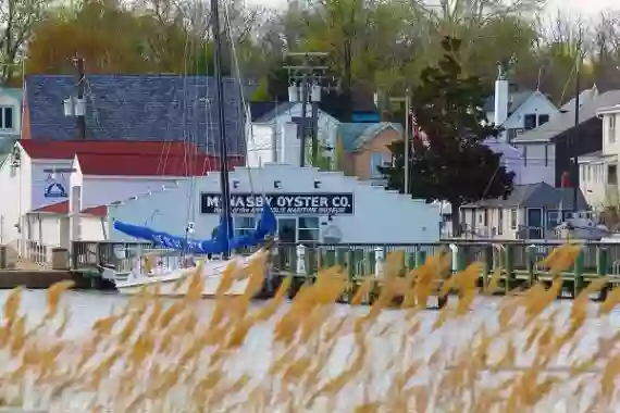 Annapolis Maritime Museum & Park