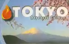 Tokyo fire