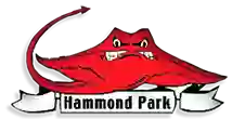 Hammond Park Pool