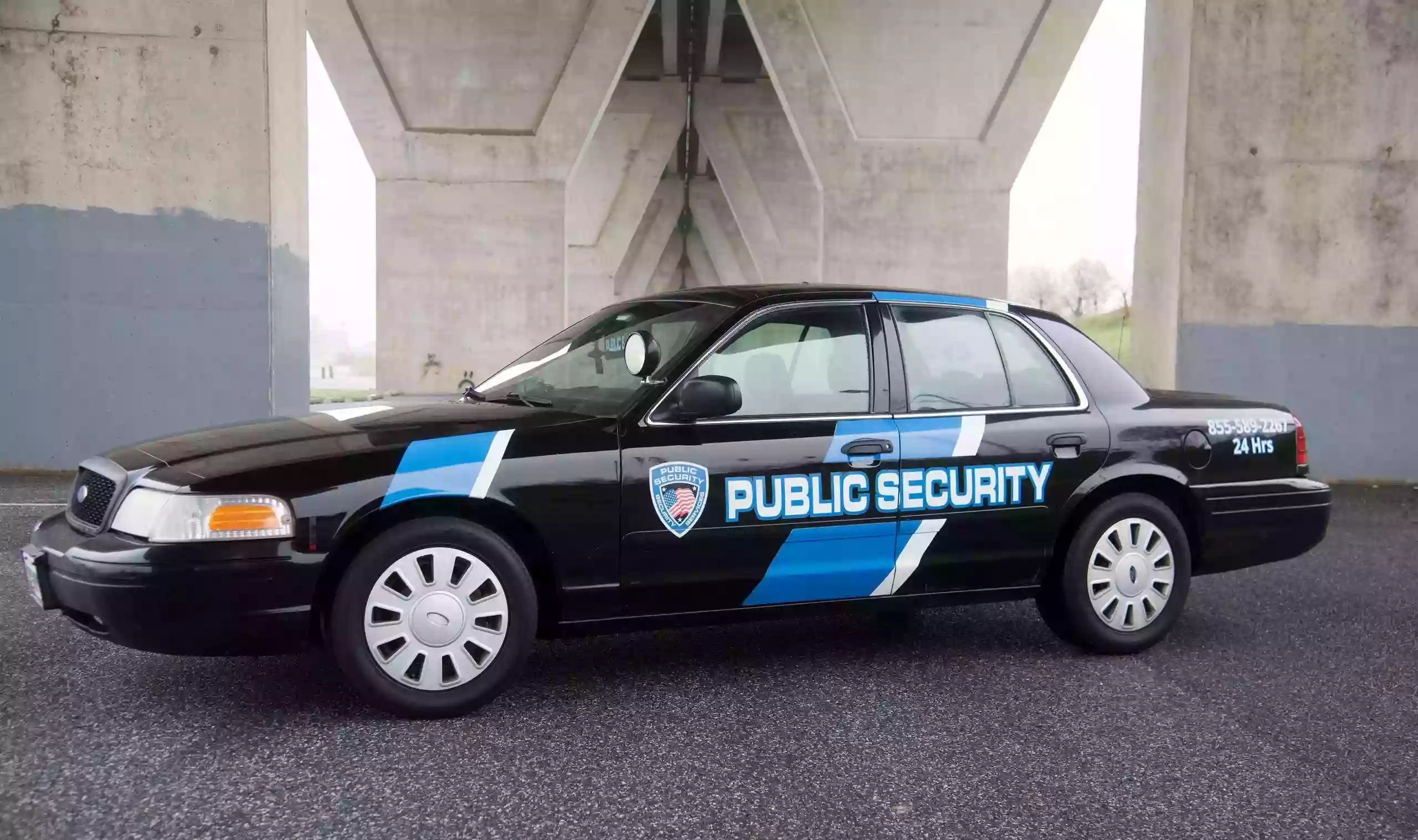 Public Security LLC