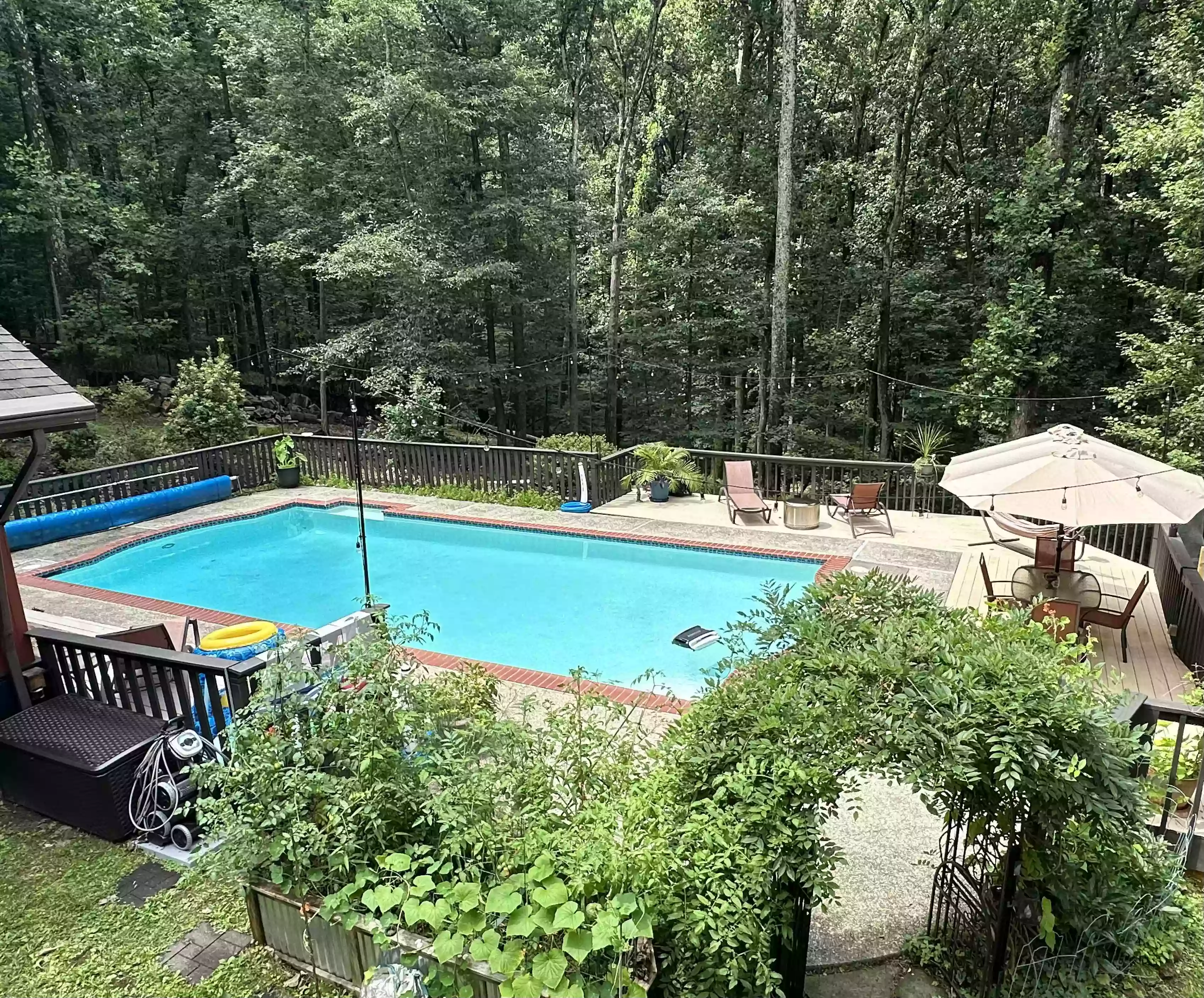 Swimply Pool Rental - Forest Oasis @ Luna's Landing