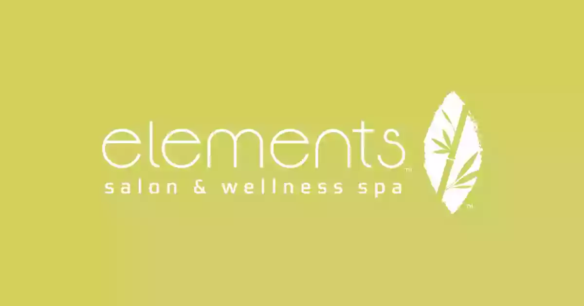 Elements Salon and Wellness Spa