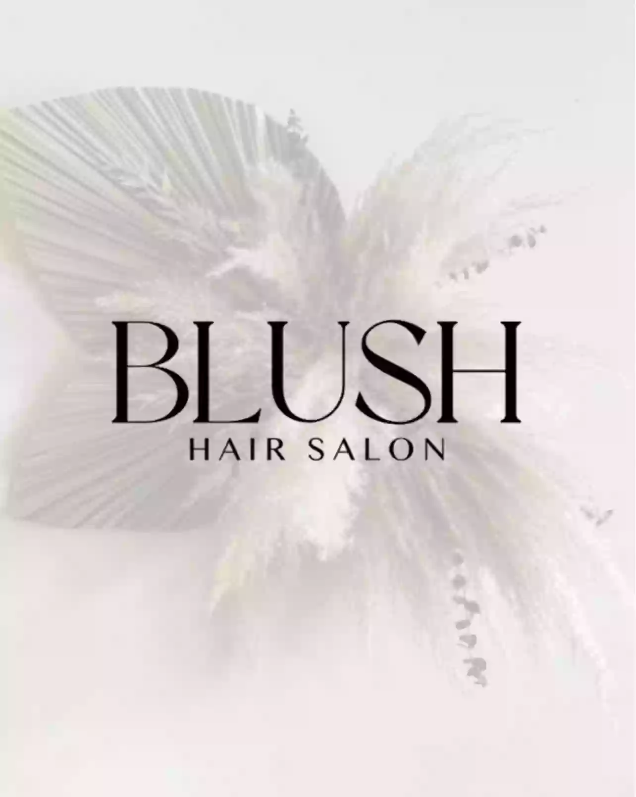 Blush Hair Salon