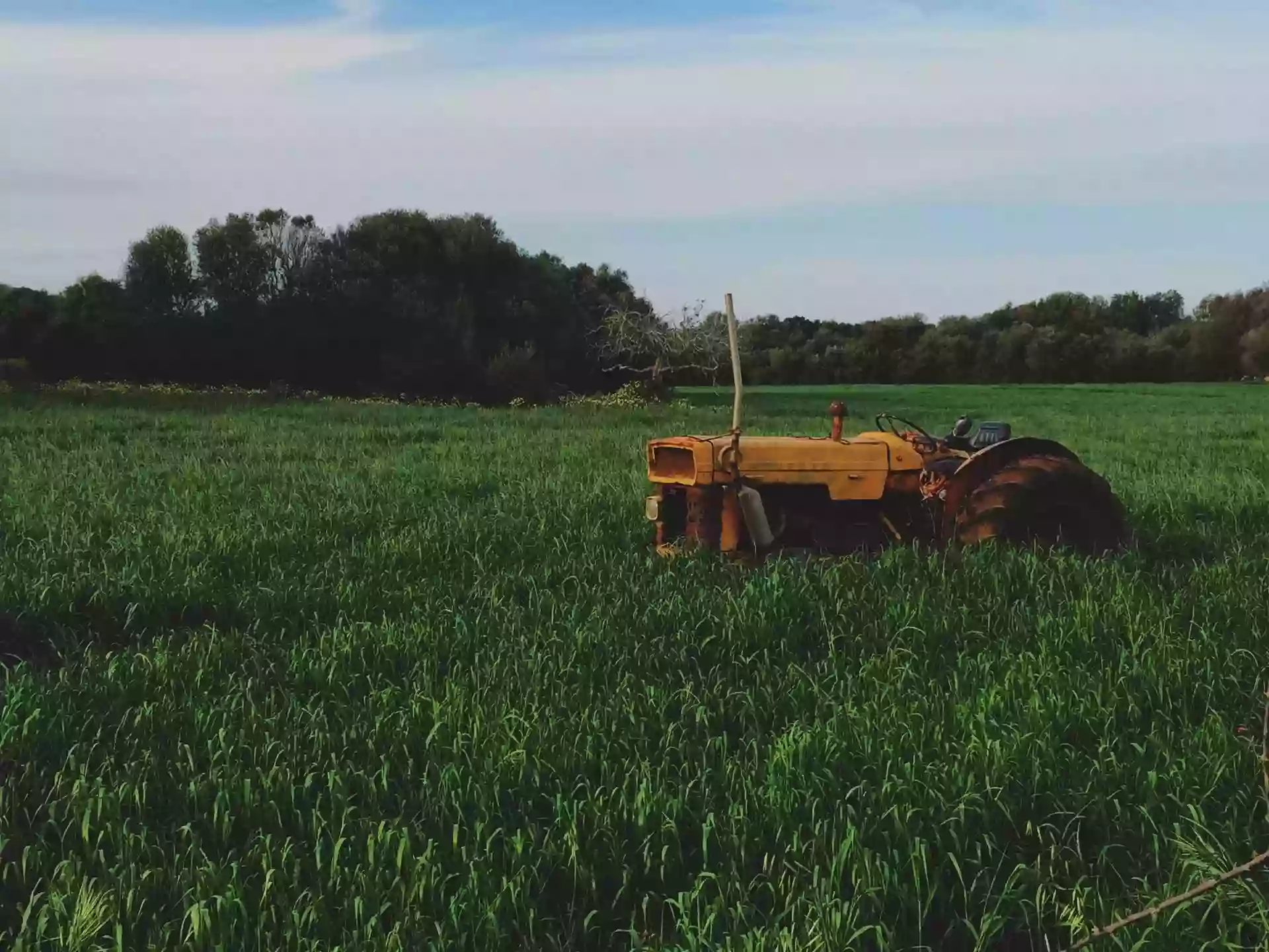 Promise Land Feed & Seed