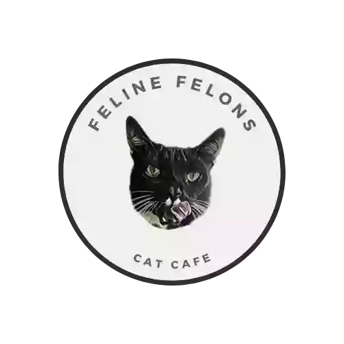 Feline Felons Cat Cafe