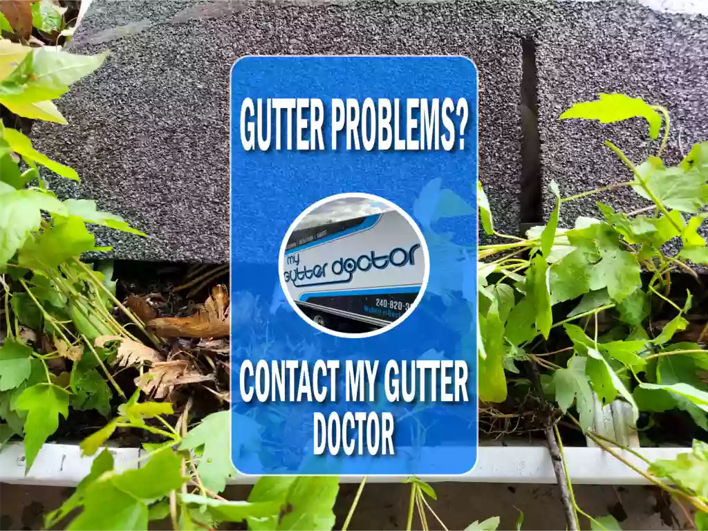 My Gutter Doctor : Gutter Cleaning Service