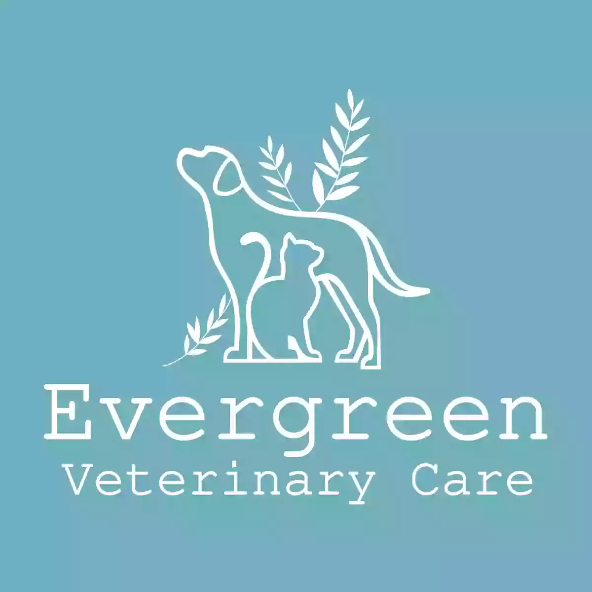 Evergreen Veterinary Care