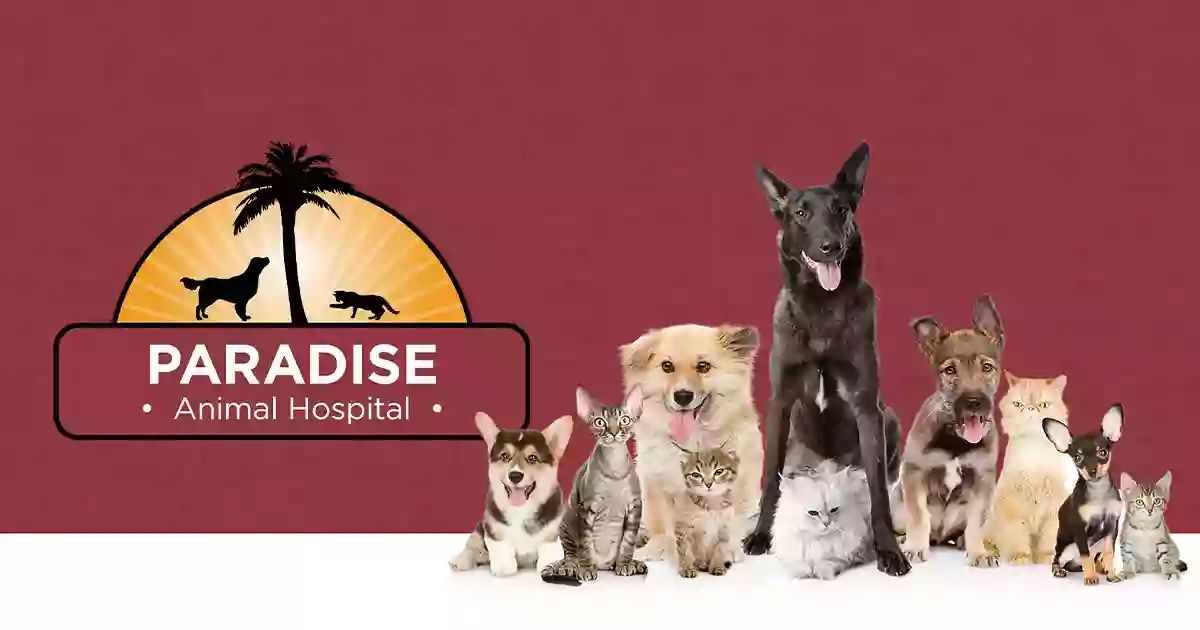 Paradise Animal Hospital: Medcroft Stephanie DVM