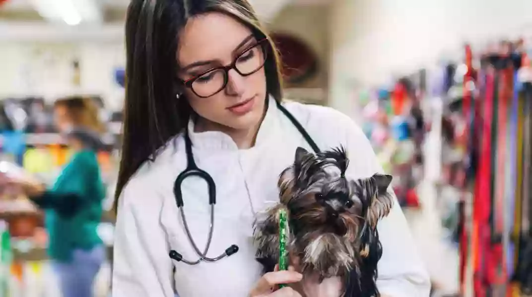 Greater Annapolis Veterinary Hospital