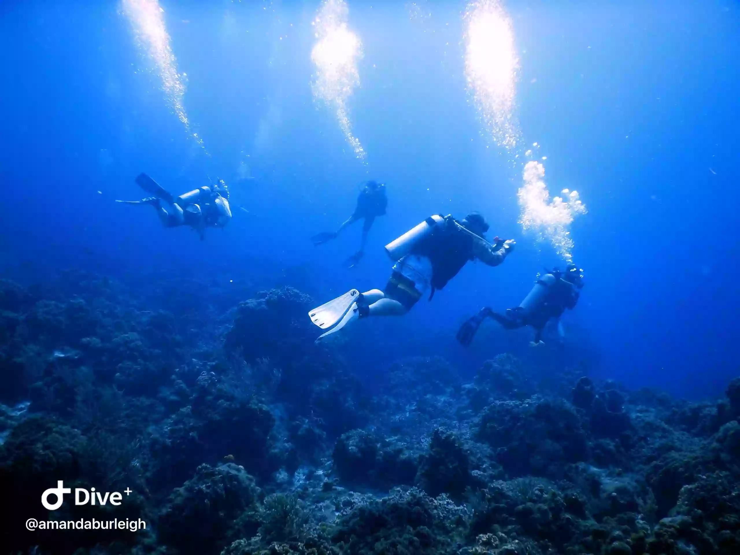 Scuba Duck Diving School