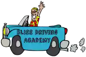 BLISS Driving Academy LLC