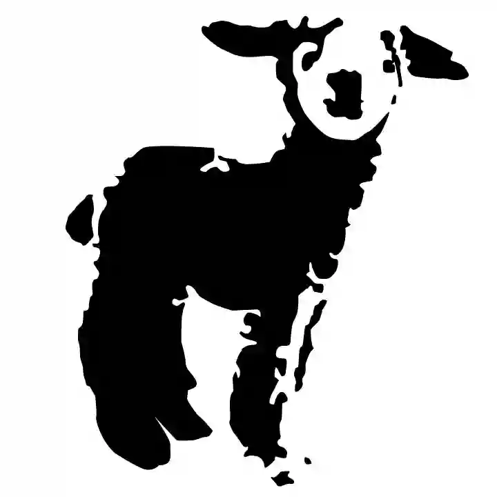 Black Sheep Community Acupuncture, LLC