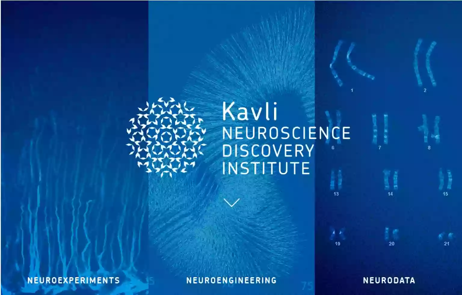 Kavli Neuroscience Discovery Institute