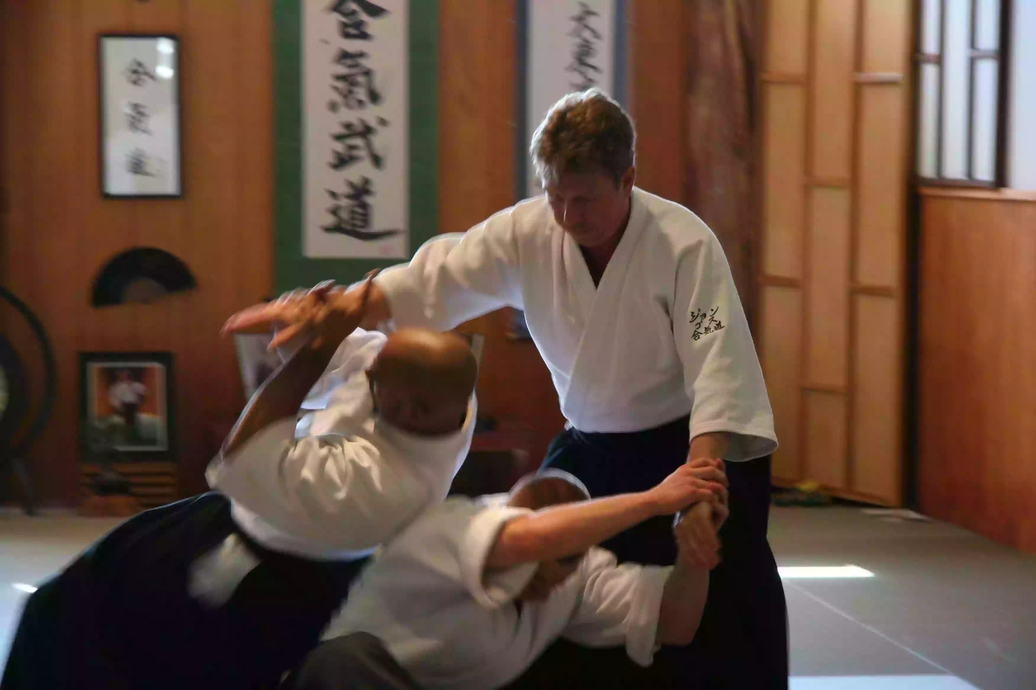 Aiki Martial Arts Institute