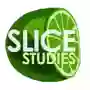 SLICE Study