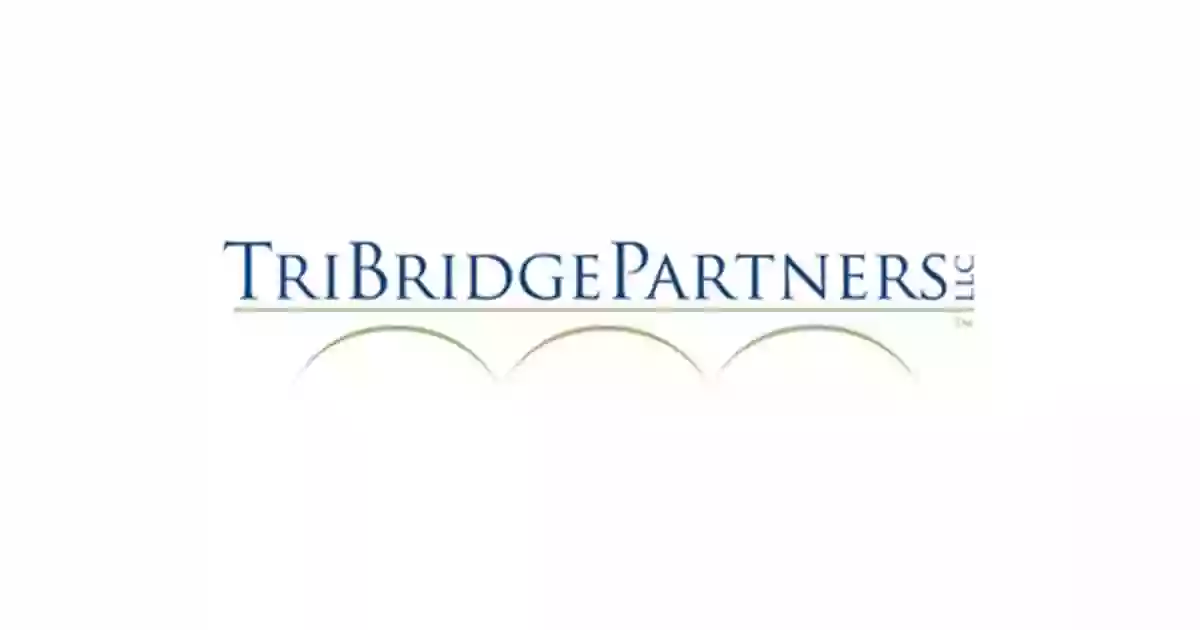 TriBridge Partners, LLC