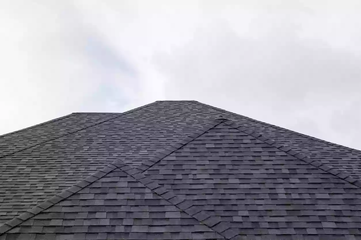 Terrapin Roofing
