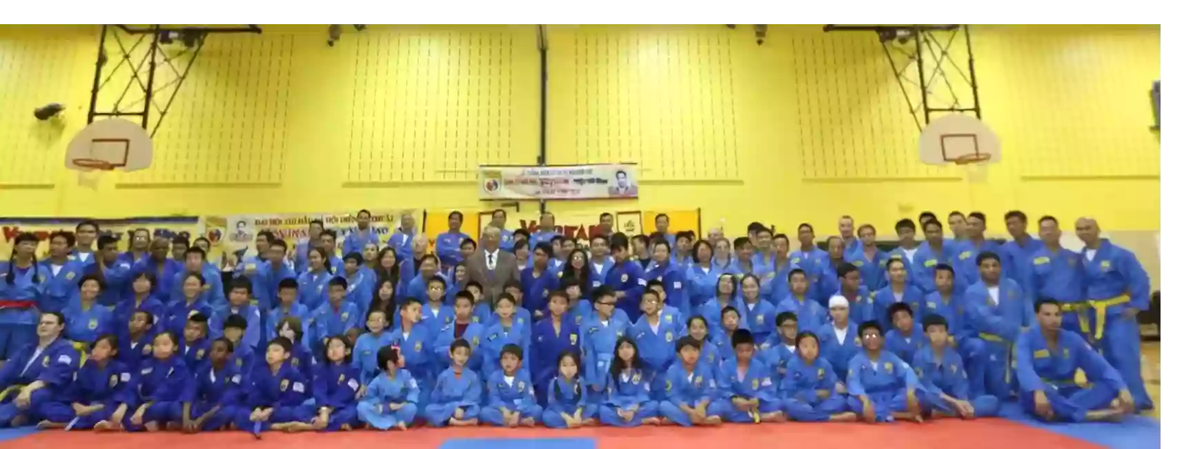 VOVINAM DEFENSE SYSTEM