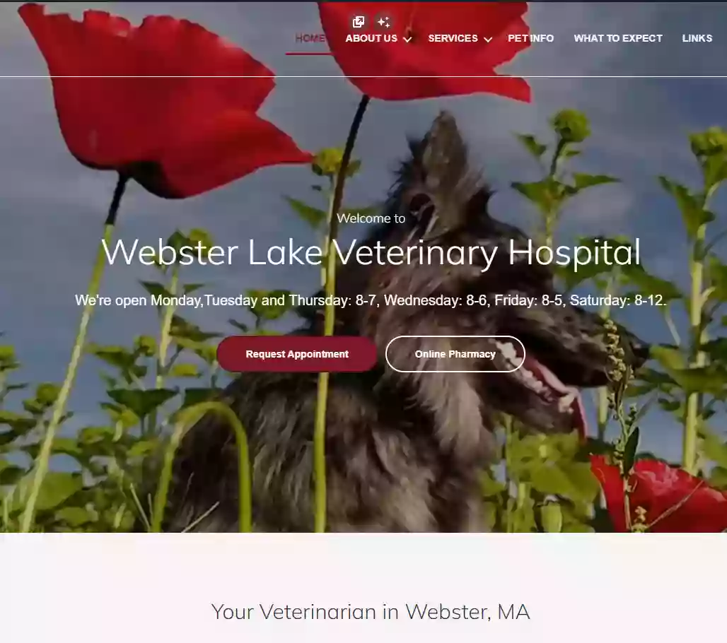 Webster Lake Veterinary Hospital