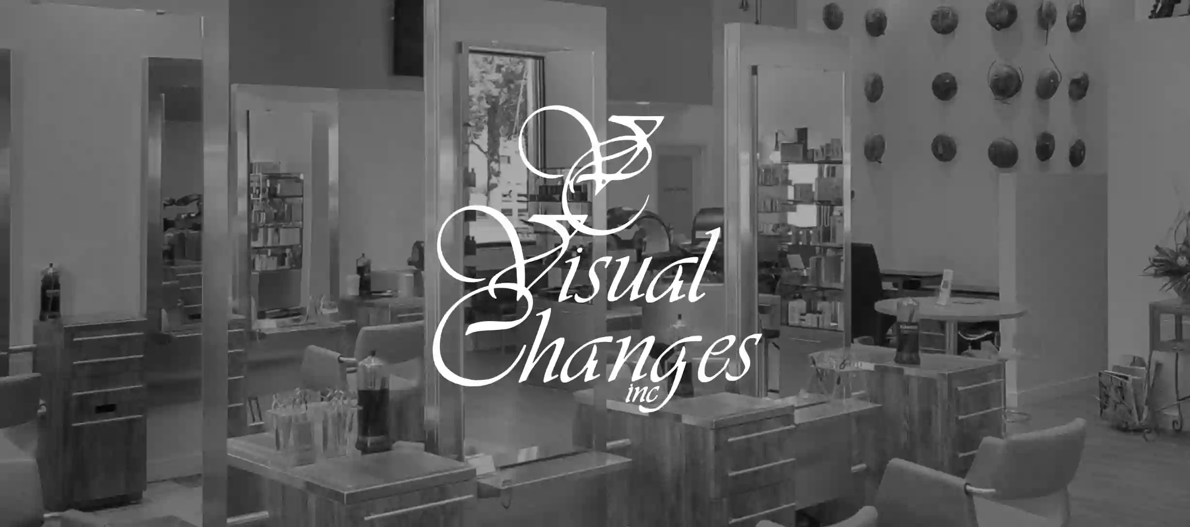 Visual Changes Inc