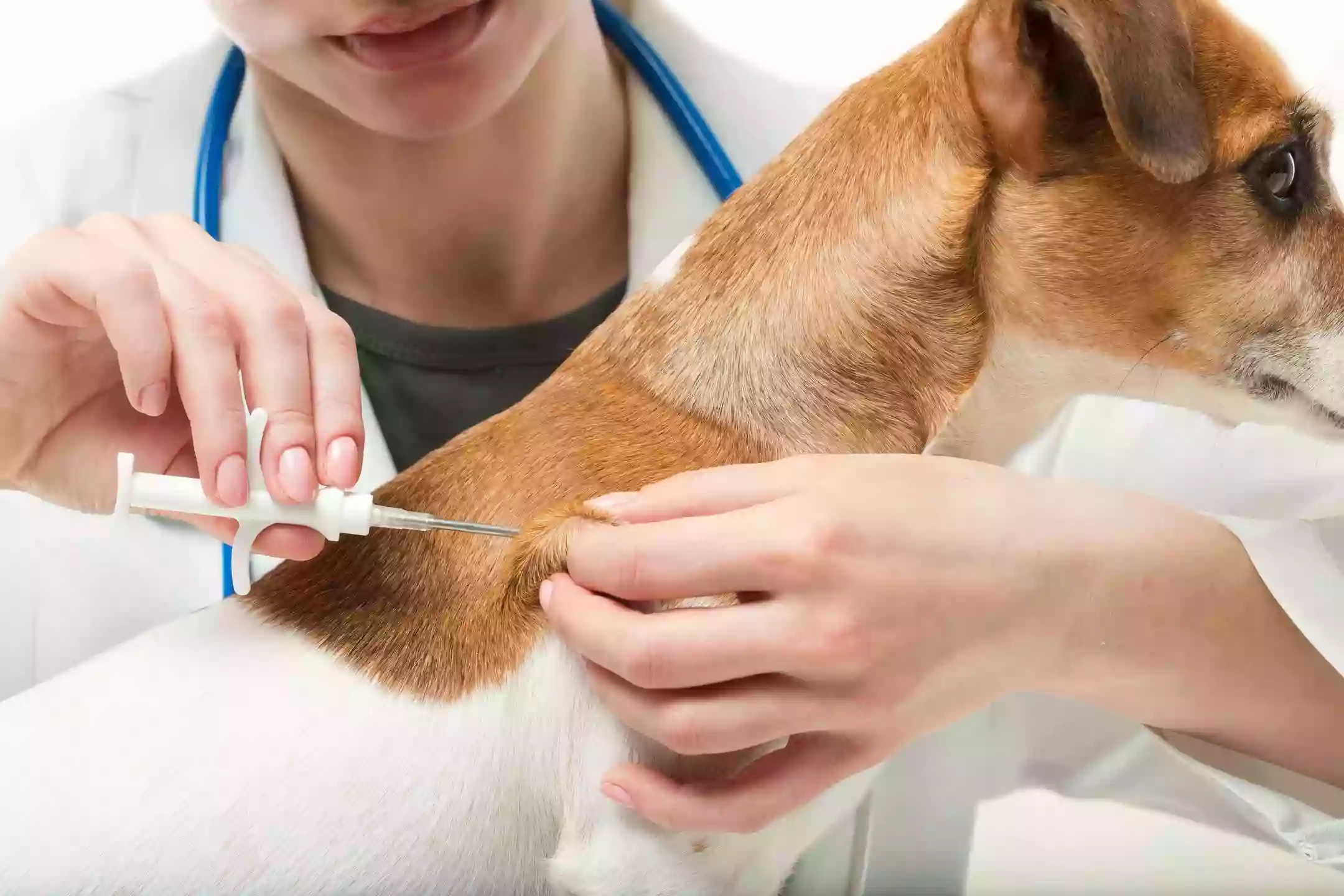 Pet House Calls Veterinary Clinic