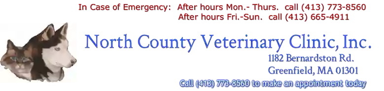 North County Veterinary Clinic