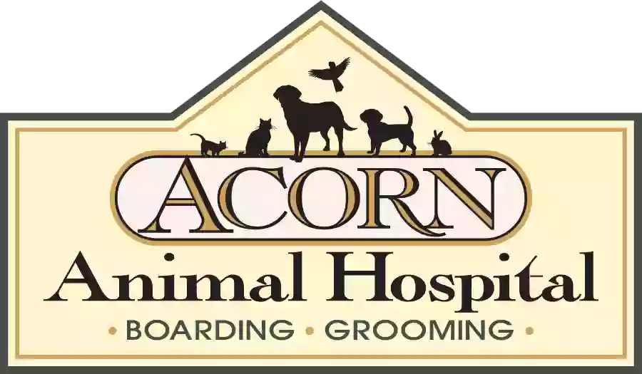 Acorn Animal Hospital: Evans Erica DVM