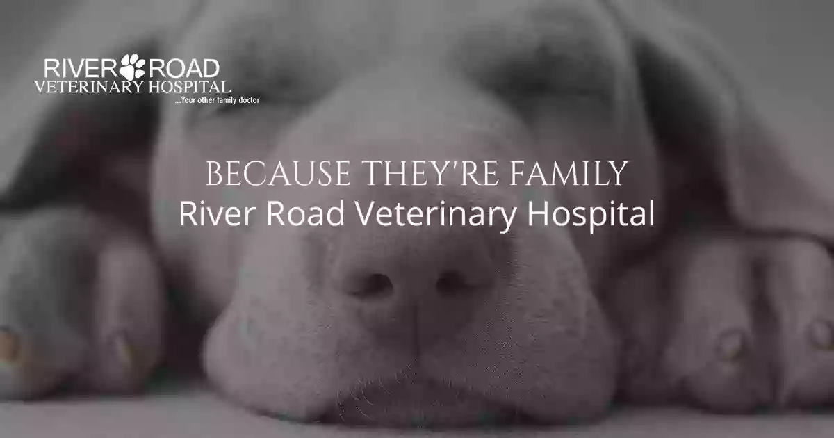 River Road Veterinary Hospital