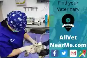 Mc Neill Veterinary Clinic