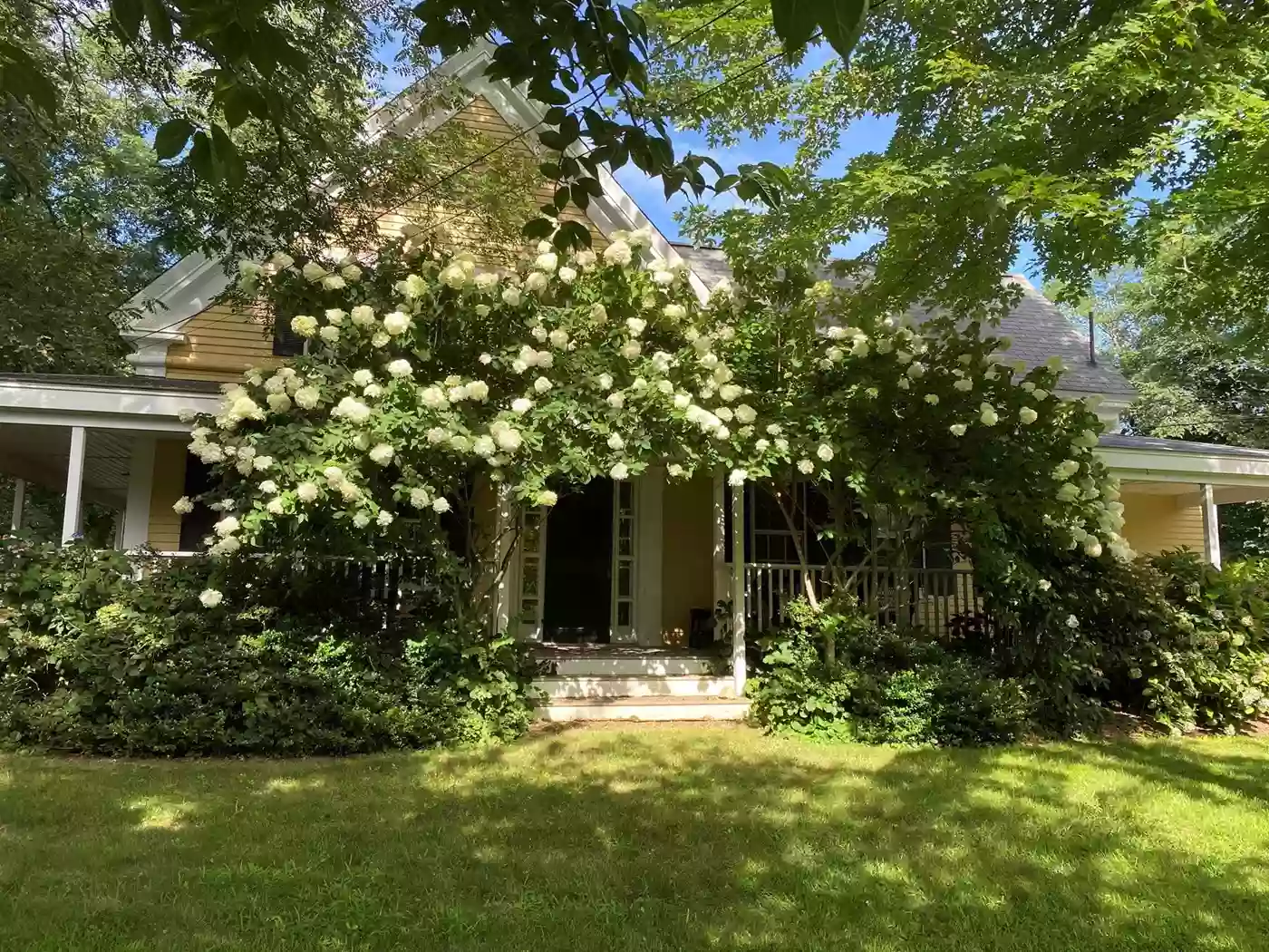 Ambergris Gables & Owl's Nest Cottage