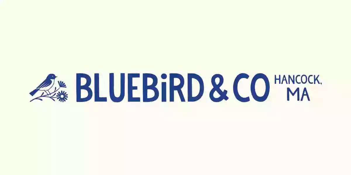 Bluebird & Co