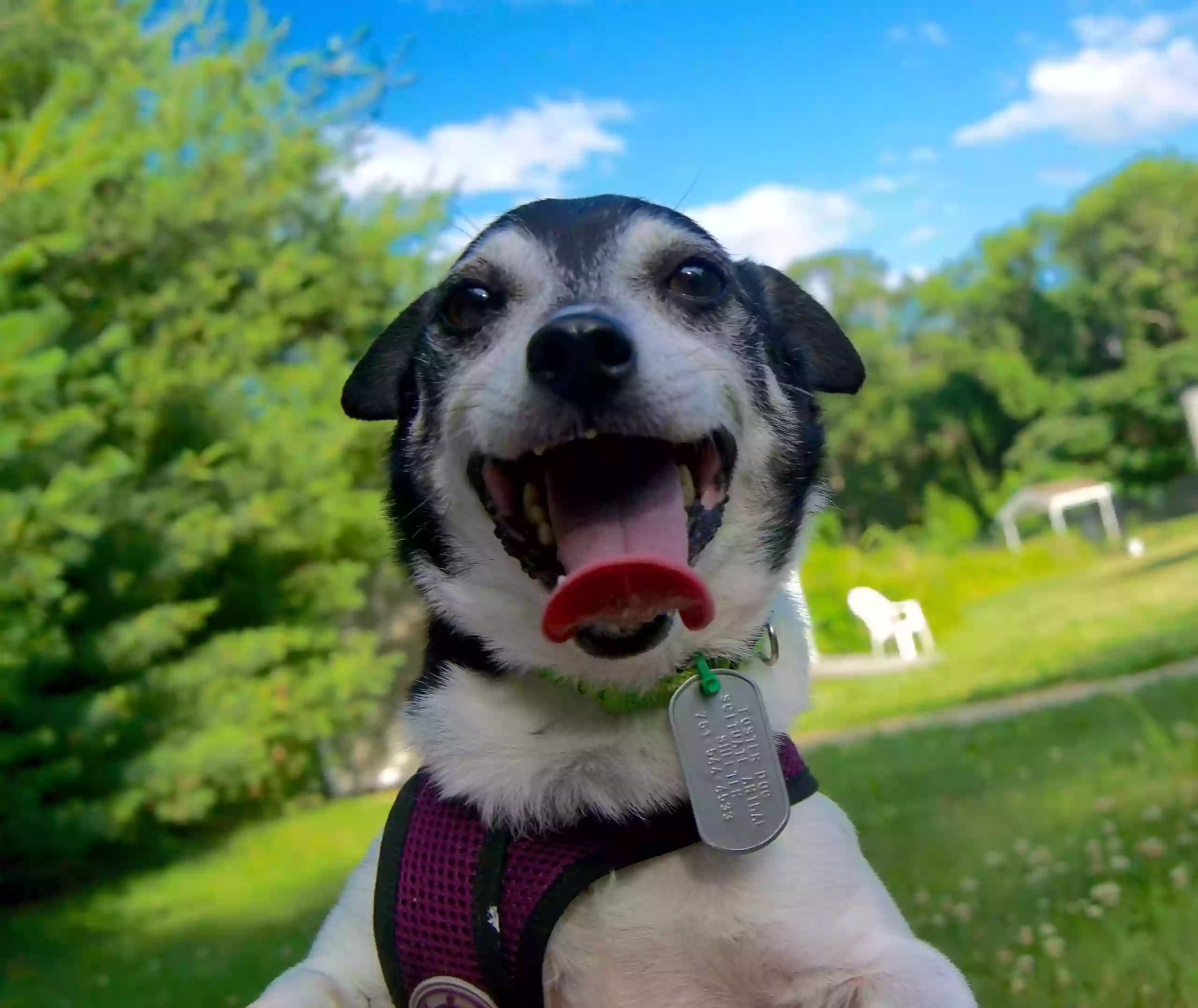 Scituate Animal Shelter of Massachusetts