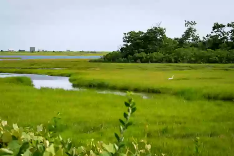 Mass Audubon's Allens Pond Wildlife Sanctuary