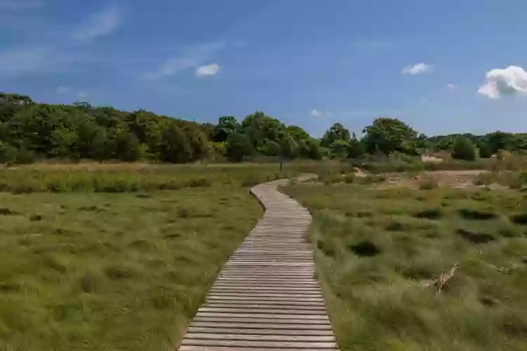 Mass Audubon Wellfleet Bay Wildlife Sanctuary