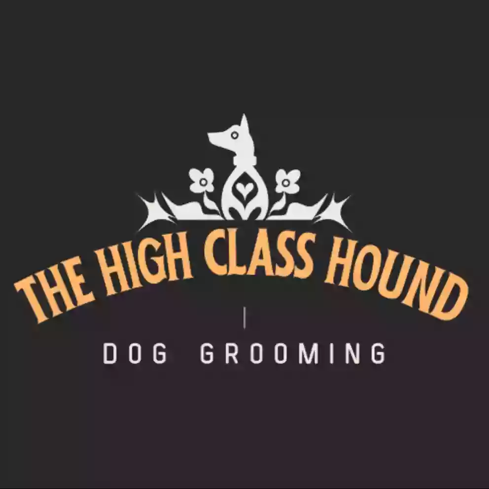 The High Class Hound